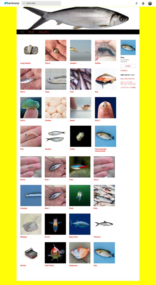 littlepad tweet media