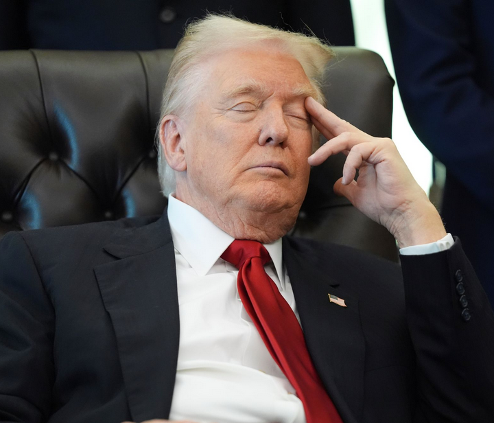 Maga Nadine tweet media