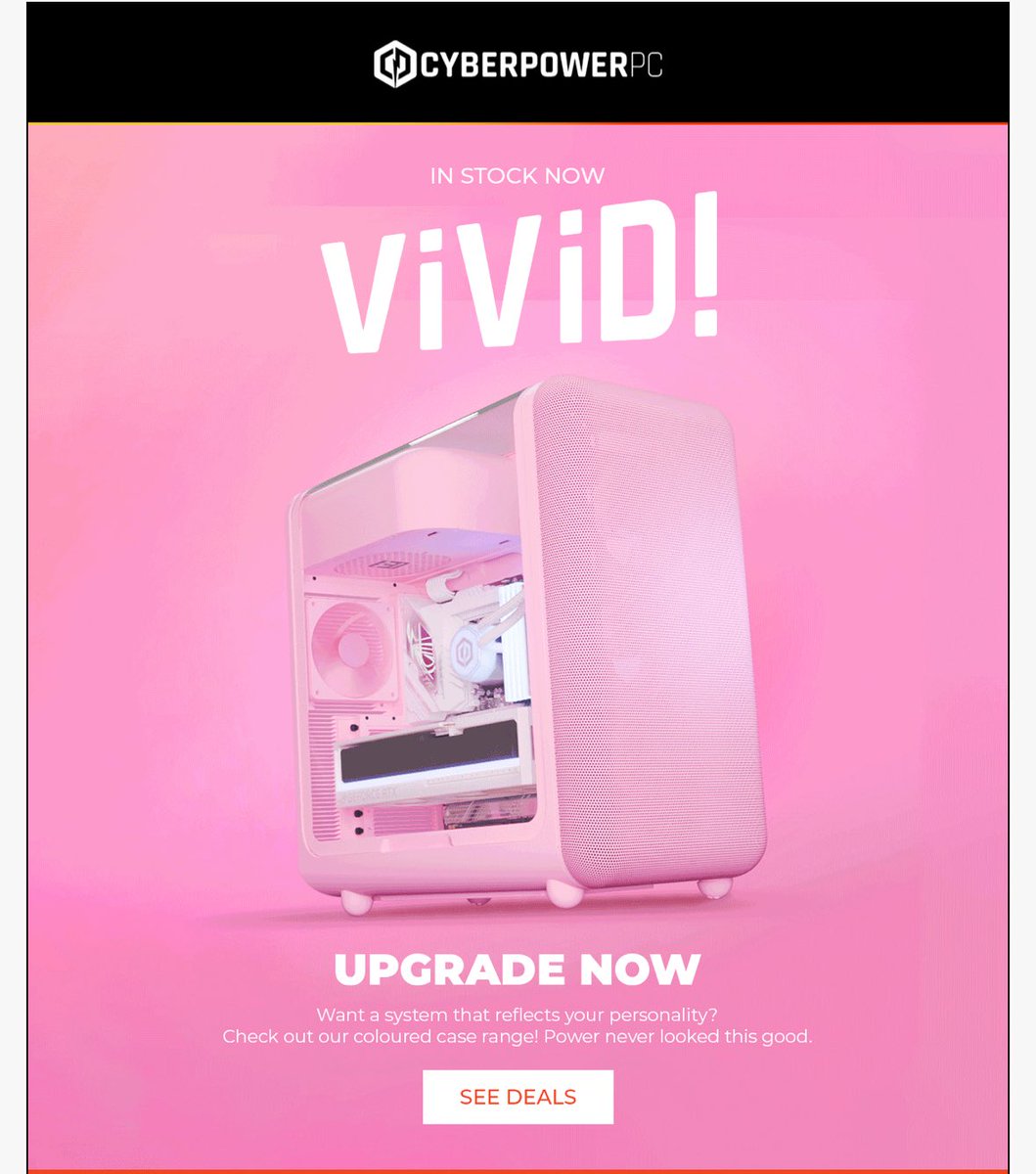 Kelsey Christmas tweet media