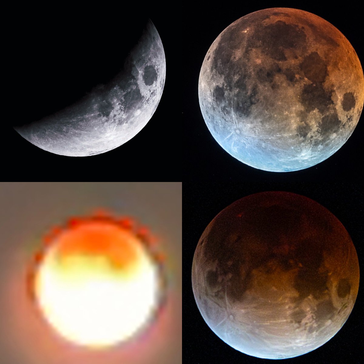 Jonathan Beutler 💮 ジョナサン・ビュートラー(仲) tweet media