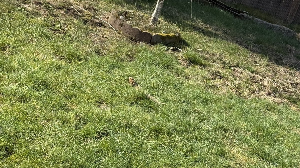 The weather was rly nice yesterday so we both touched grass and photosynthesized lol