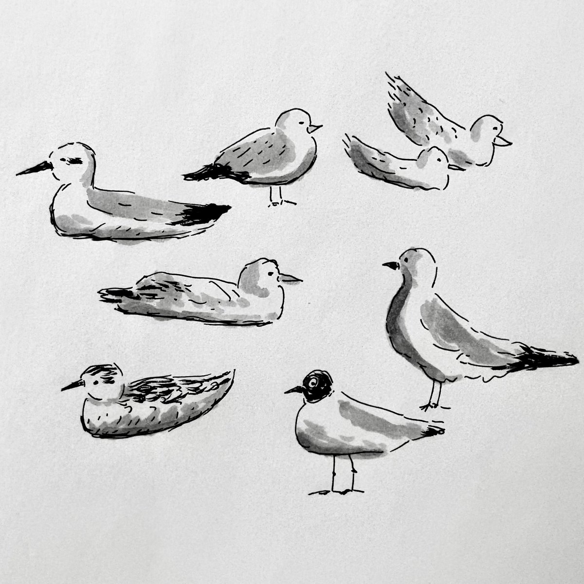 光永これゆき tweet media