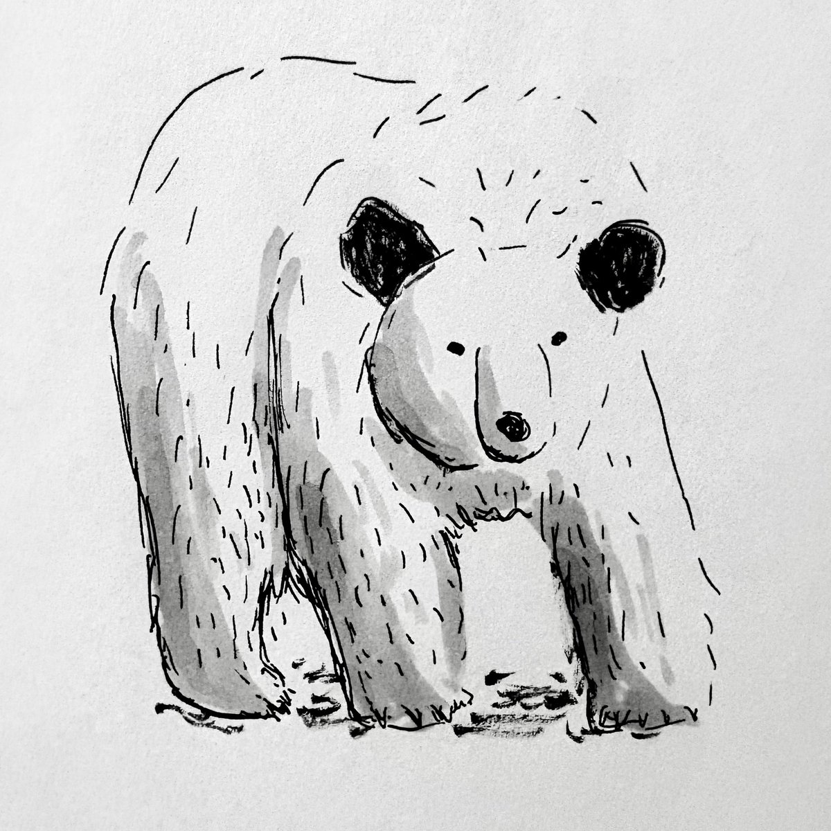 光永これゆき tweet media