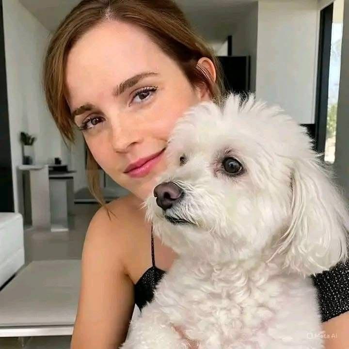 Emma Watson tweet media