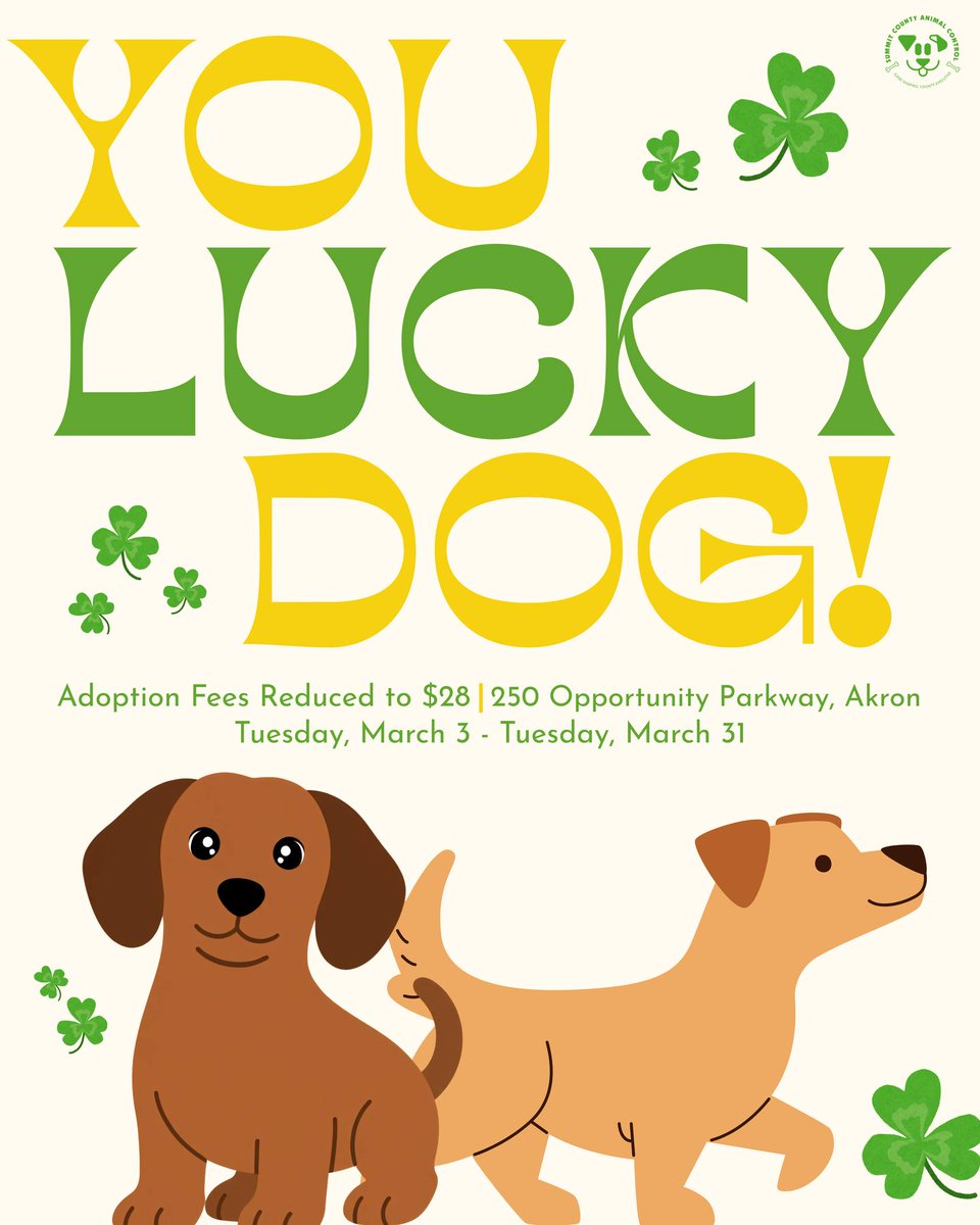 County Executive Ilene Shapiro tweet media