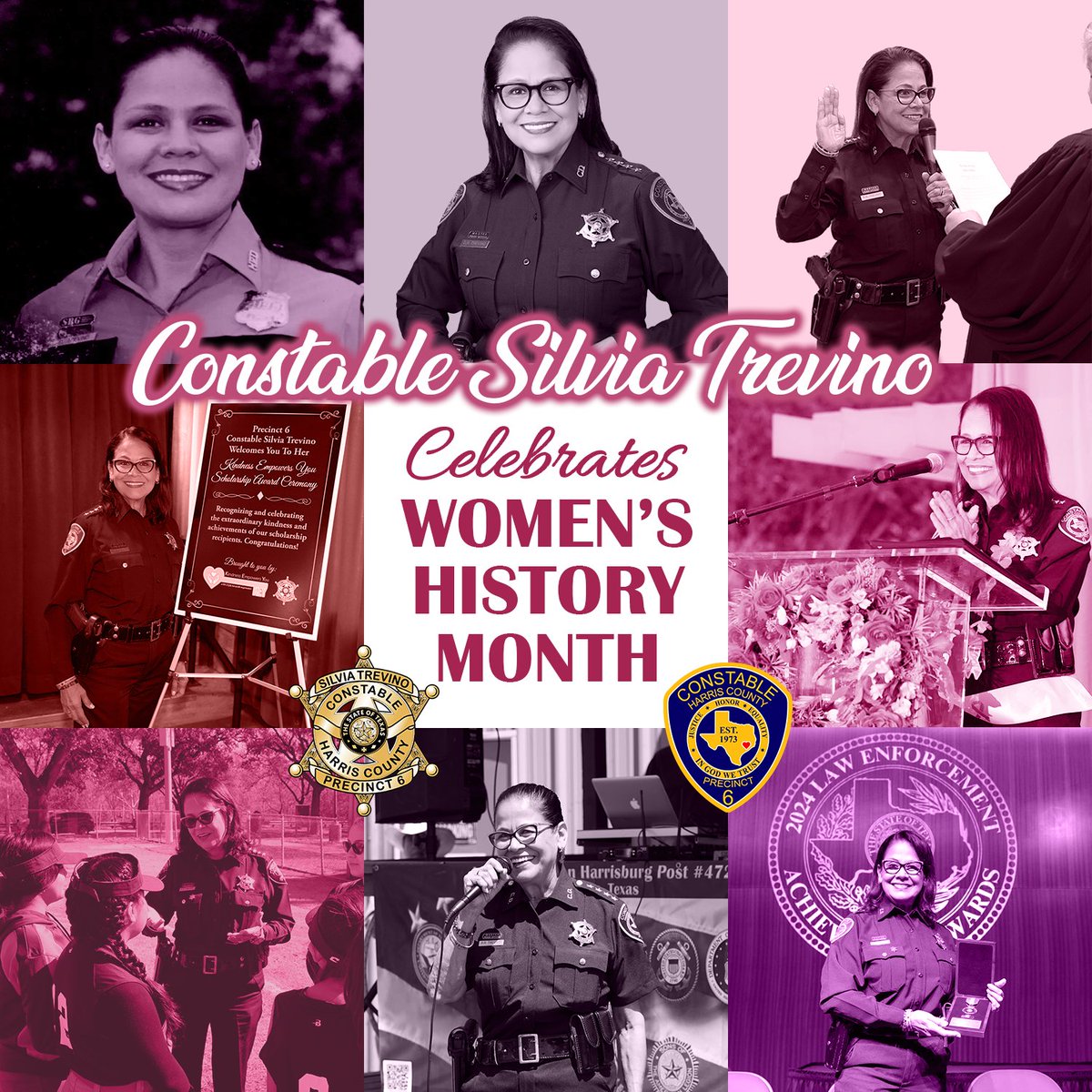 Silvia Trevino Pct 6 Constable tweet media