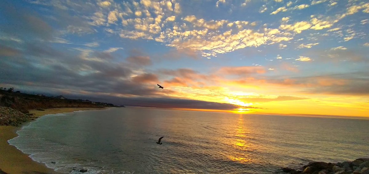 Carlos Cecevich (@ccecevich1) on Twitter photo 