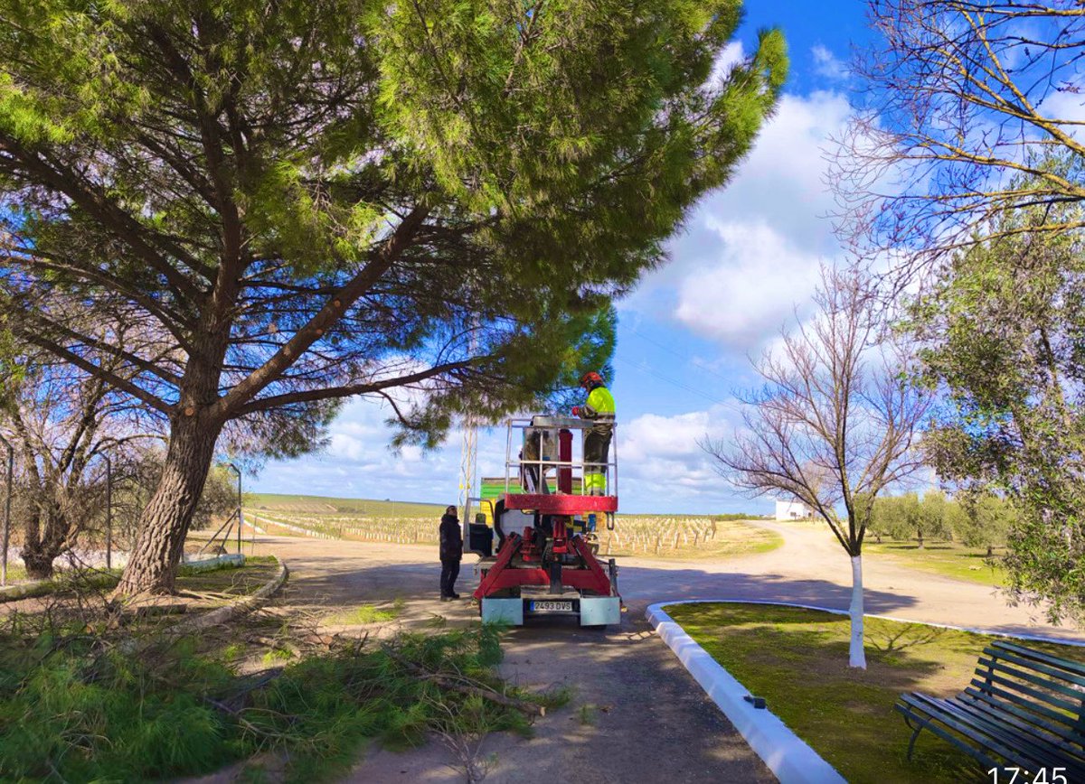 Pedanías de Antequera tweet media