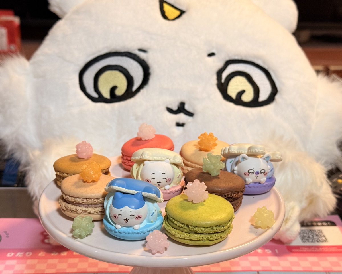 135匹のたぬきだもん。 (@tanukidamon135) / Posts / X