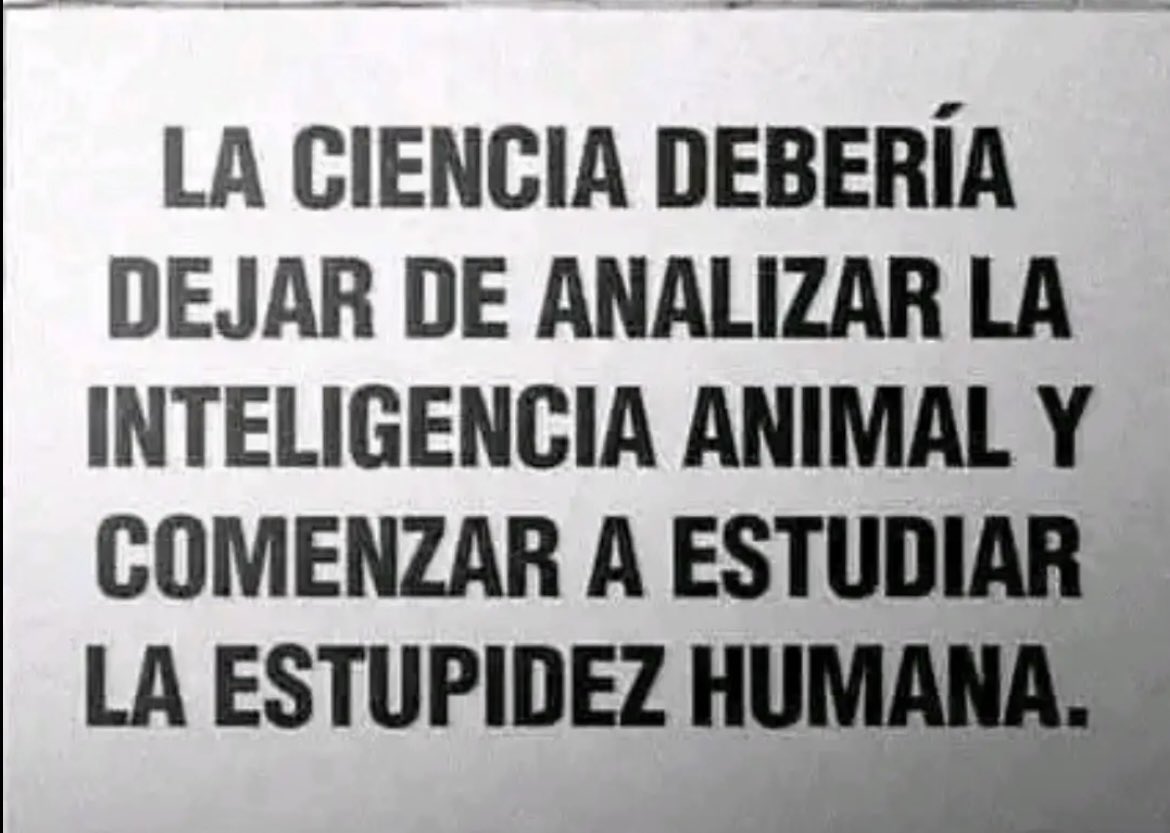 𝒈𝒊𝒖𝒍𝒊𝒂𝒏𝒂 (@giuligutierrz) on Twitter photo 