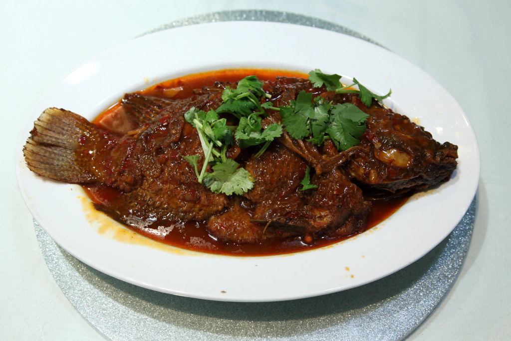 Dave Cook tweet media