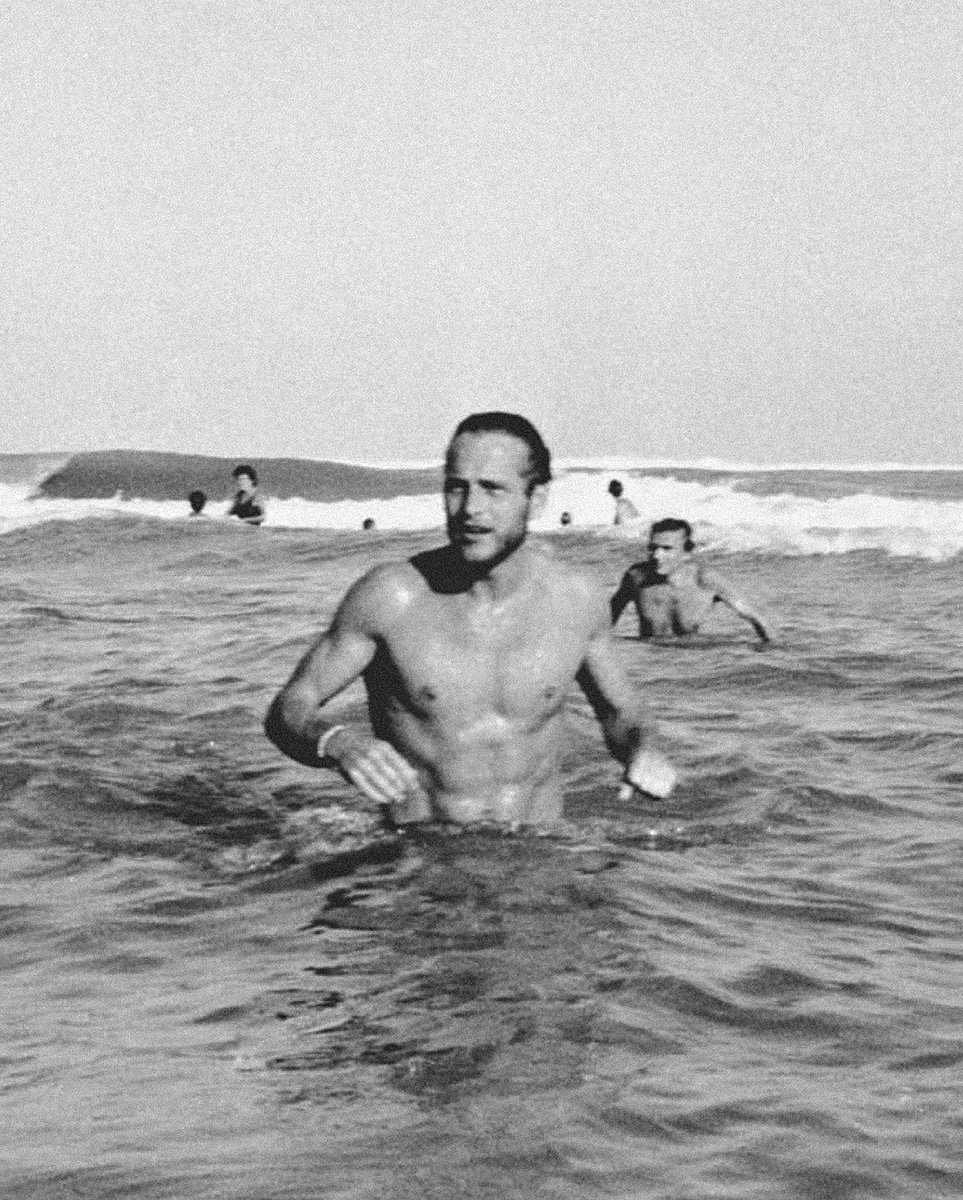 DepressedBergman tweet media