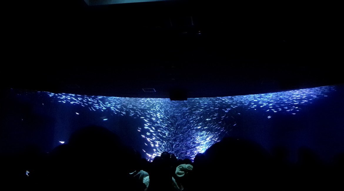 𝒄𝒍𝒆𝒐𝒎𝒆 tweet media