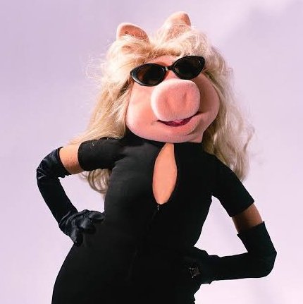 𝕱𝖑𝖆𝖛𝖎𝖆𝖓 (@mrspoocky) on Twitter photo 