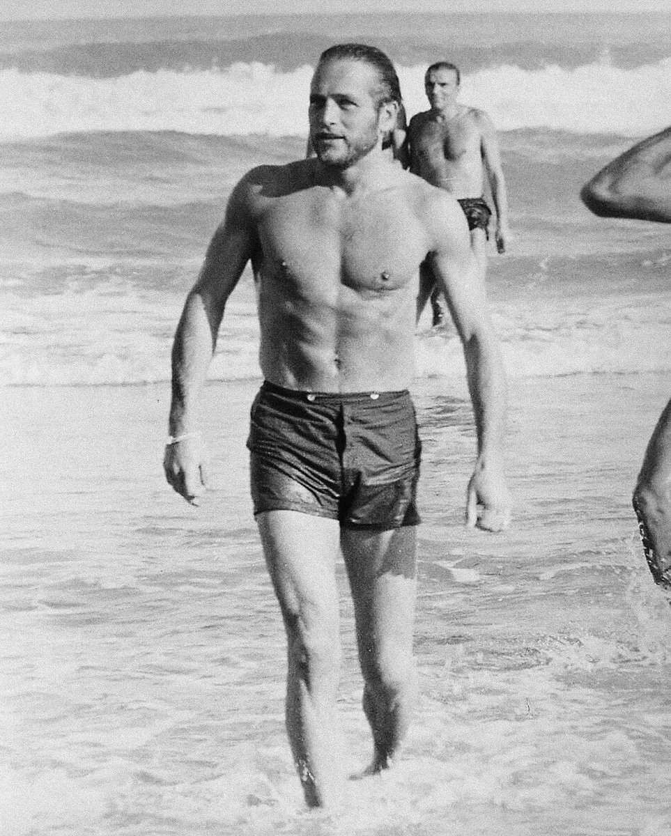 DepressedBergman tweet media