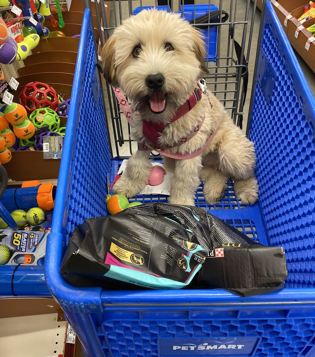 WoofPack Trails tweet media