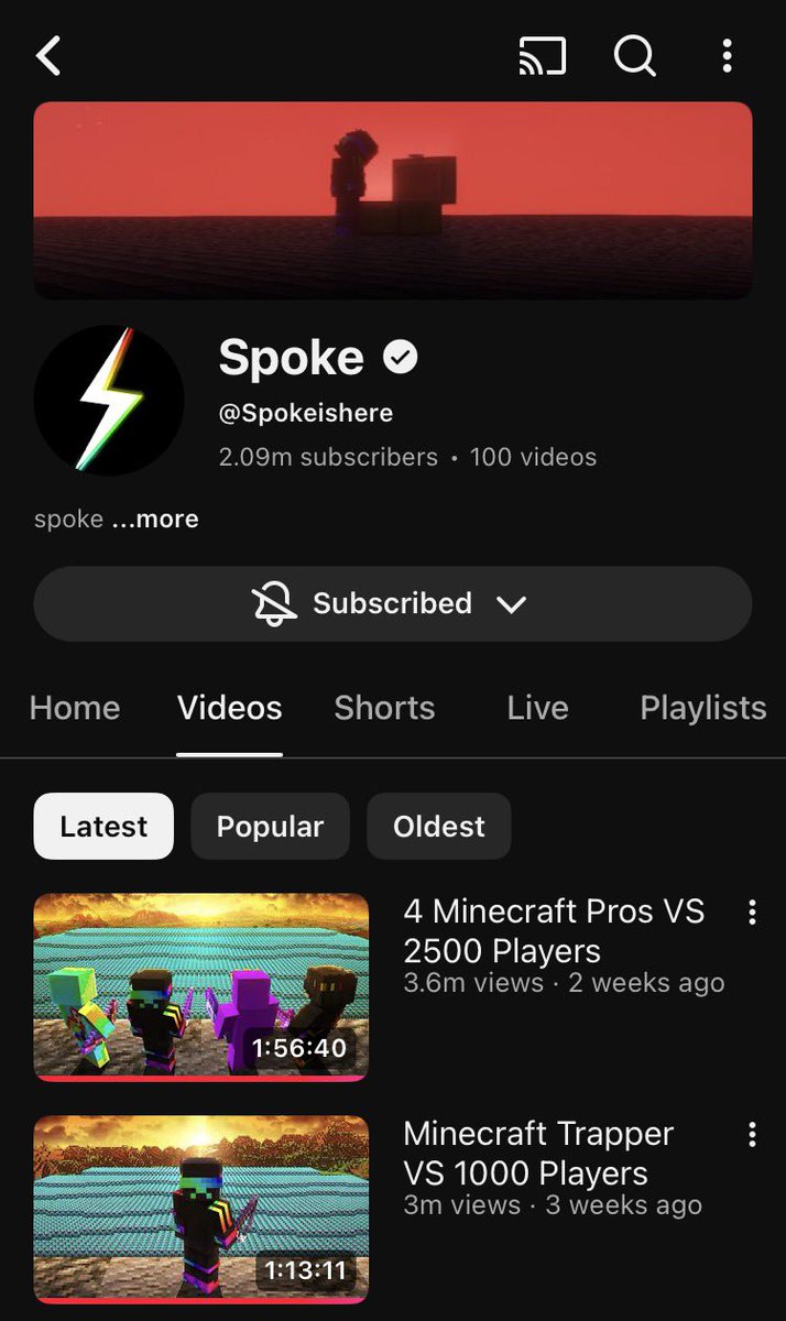 luna | 🍉 tweet media