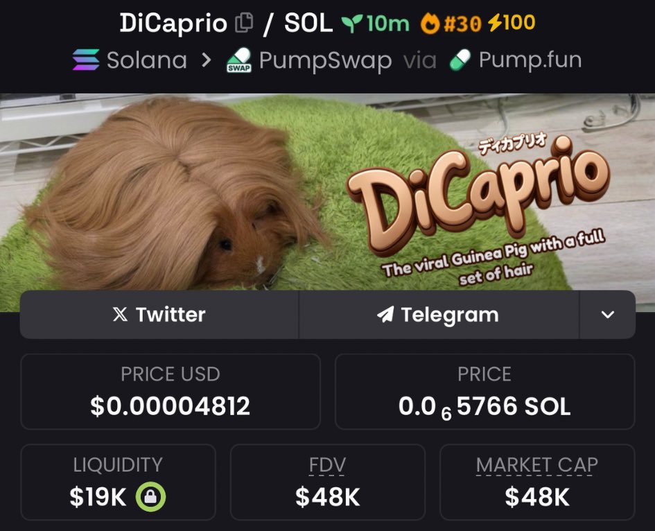 FomoChemist's tweet image. Highlighted $DiCaprio at $48K Mcap in my private Tg

4c1HzBShCHc1EckQTVXZZ5feDCgkDweaw3t3JQQqpump

#DiCaprio #memecoin #solana