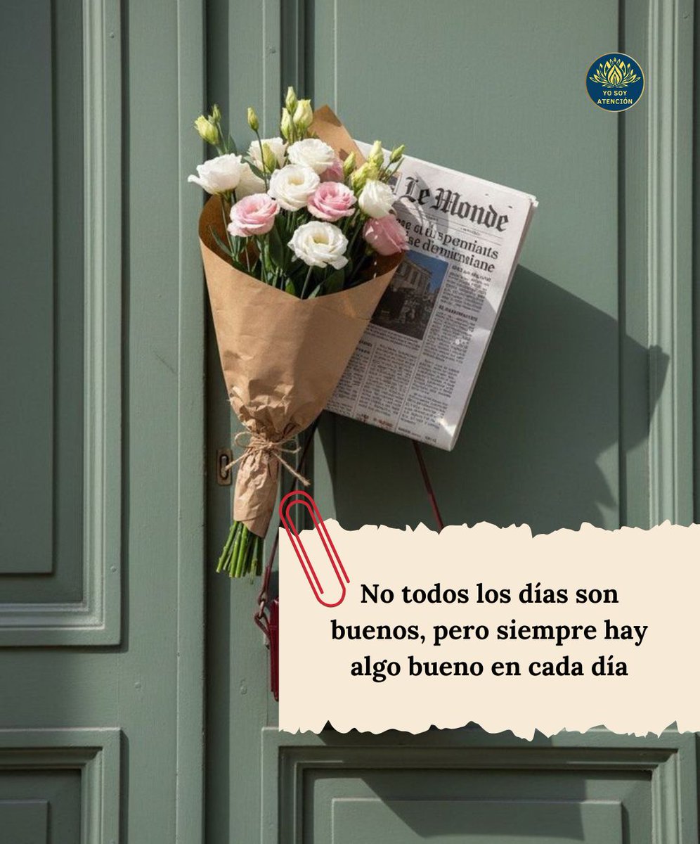 Gracias ✨🙏🏻