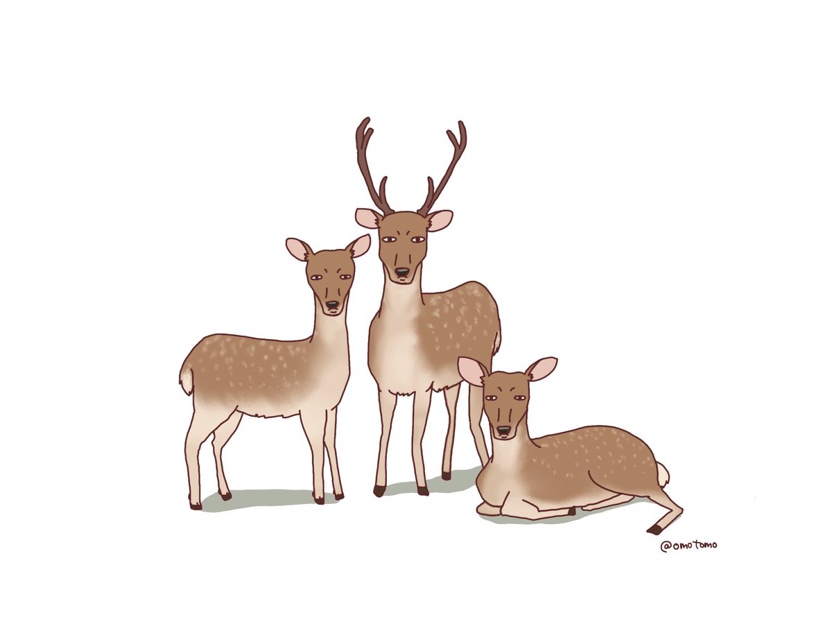 omotomo's tweet photo. 春のウォーミングアップ…🦌 https://t.co/F6XOwv7D4I