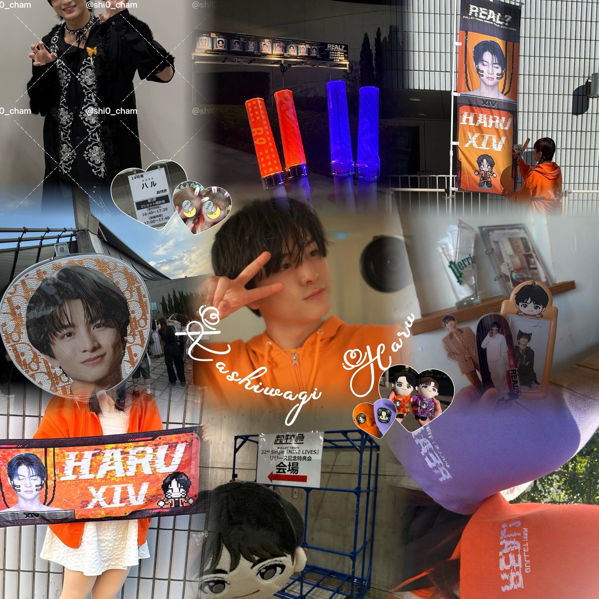 しおちゃん tweet media