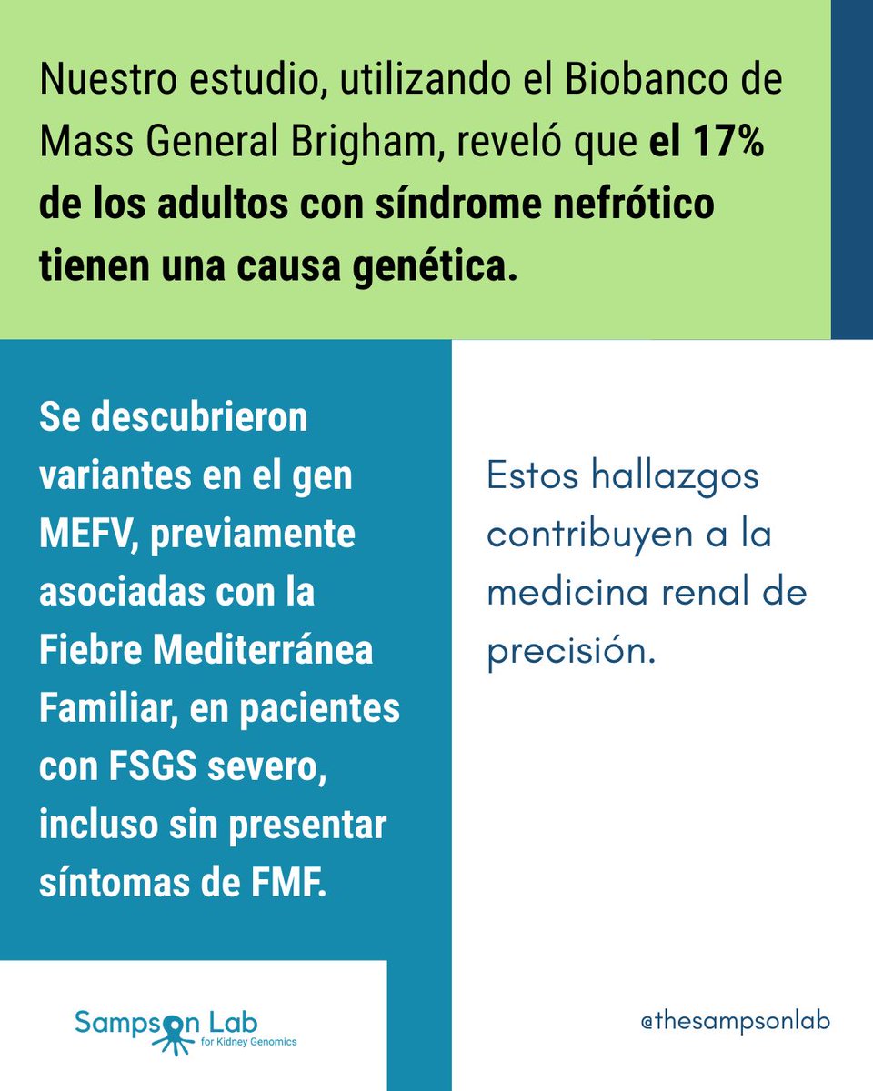 Sampson Lab for Kidney Genomics tweet media