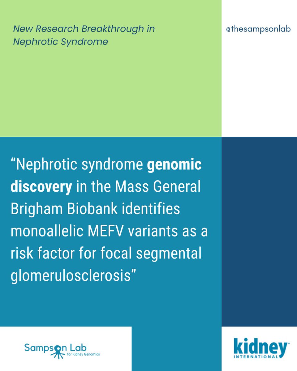 Sampson Lab for Kidney Genomics tweet media