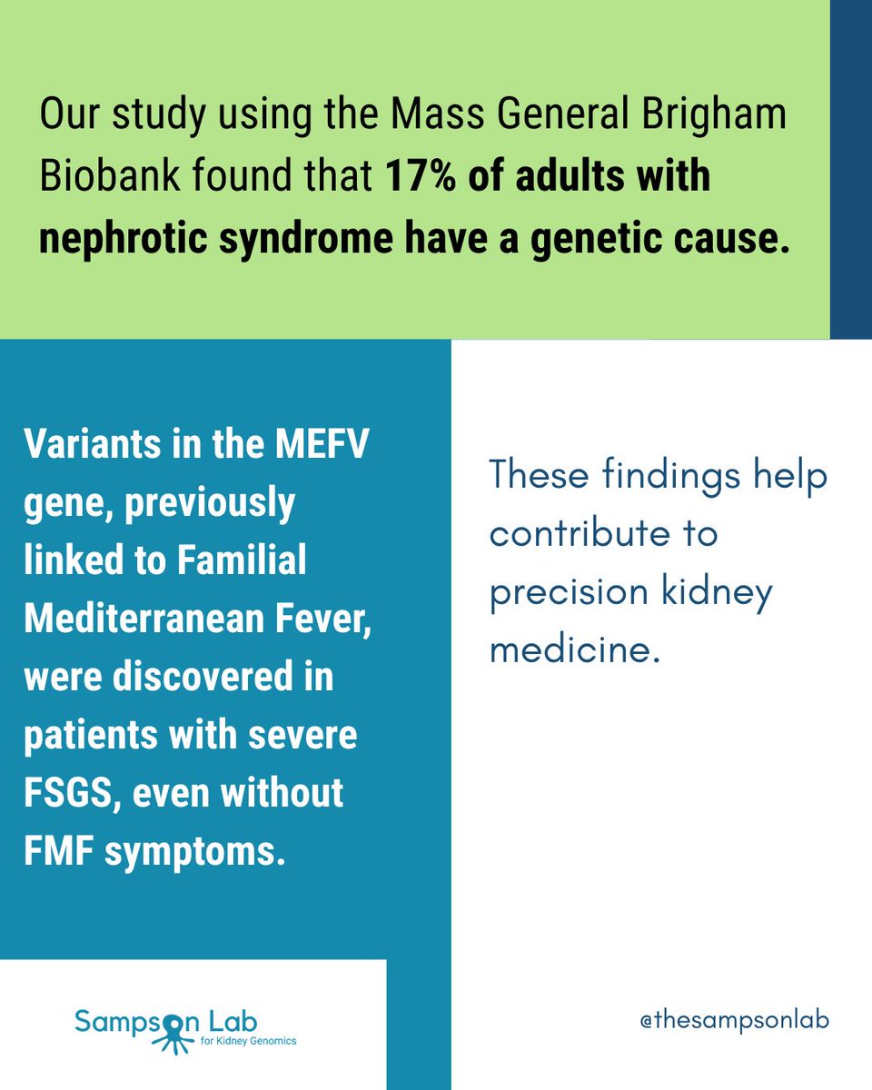 Sampson Lab for Kidney Genomics tweet media