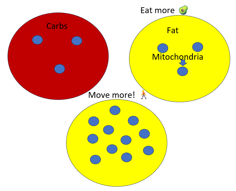 Alan Couzens tweet media