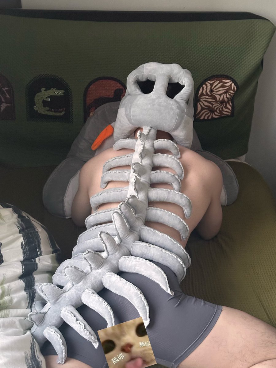 未知名大学生 tweet media