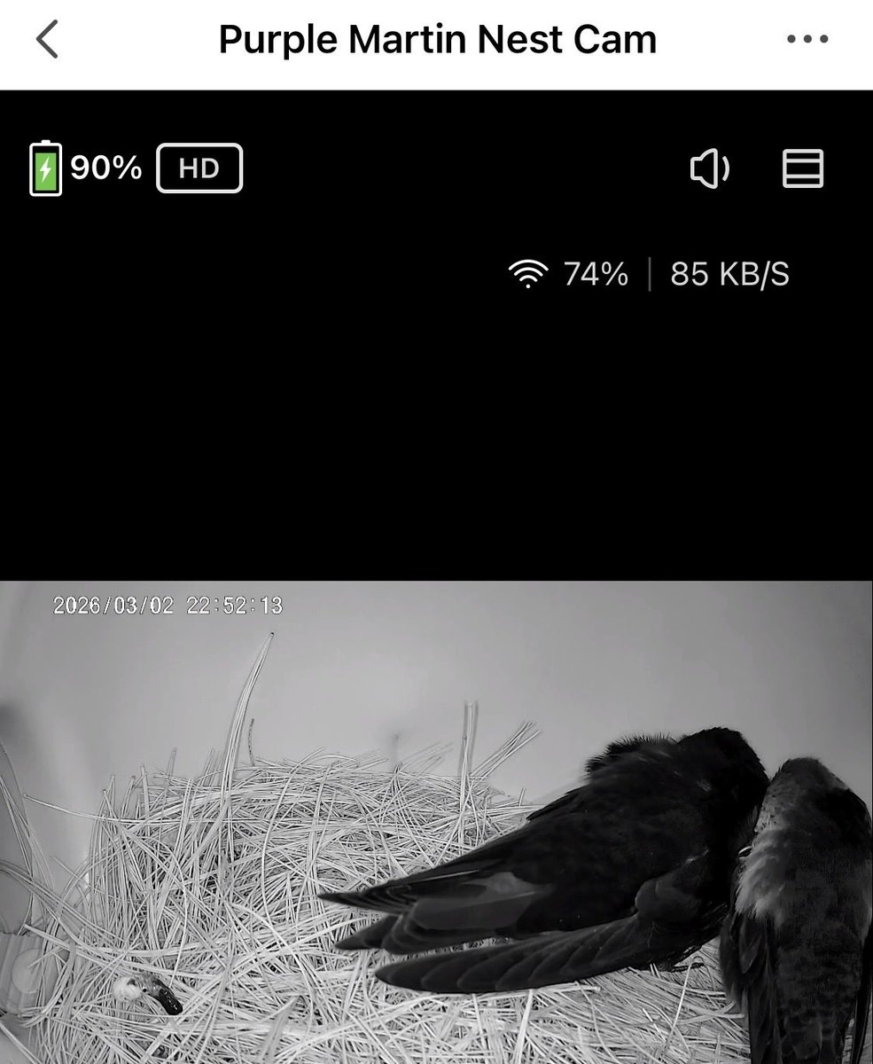 Possums Walker tweet media