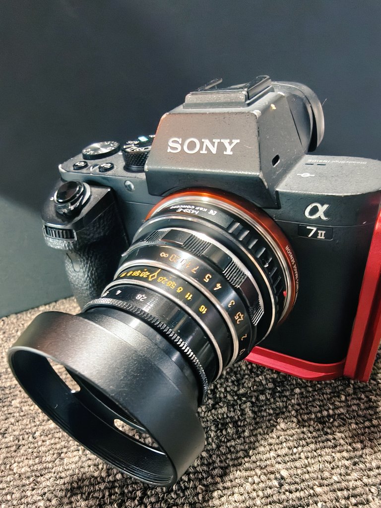 新しい仲間、インダスター61さん(55mm F2.8) 特有の六芒星ボケはない