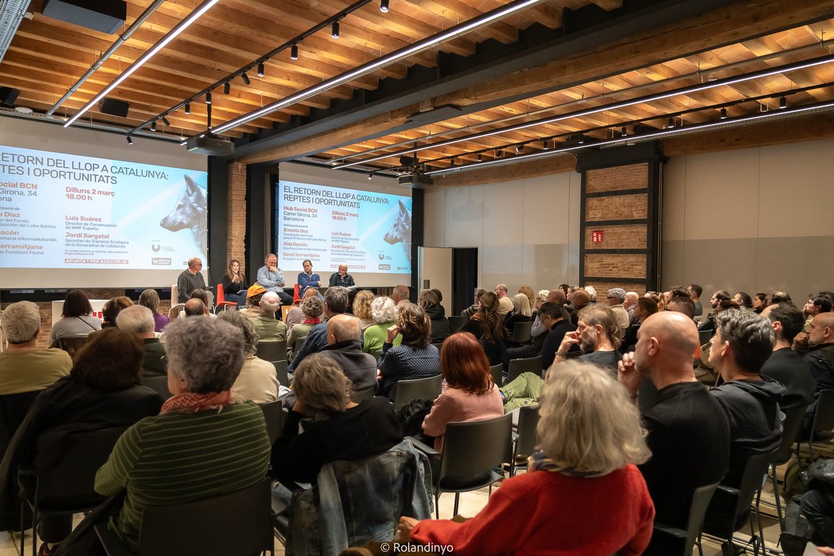 🐺 Ayer llenamos el <a href="/hubsocialbcn/">Hub Social Barcelona. (Girona 34, interior. Bcn)</a> para defender al lobo en Catalunya, en un evento organizado por <a href="/FondoLobo/">Fondo para la Protección del Lobo Ibérico</a> y <a href="/AnimaNaturalis/">AnimaNaturalis</a>.

“Vivimos tiempos oscuros, en los que los peores han perdido el miedo y los mejores la esperanza.” Hanna Arendt 

¡Recuperemos la esperanza!