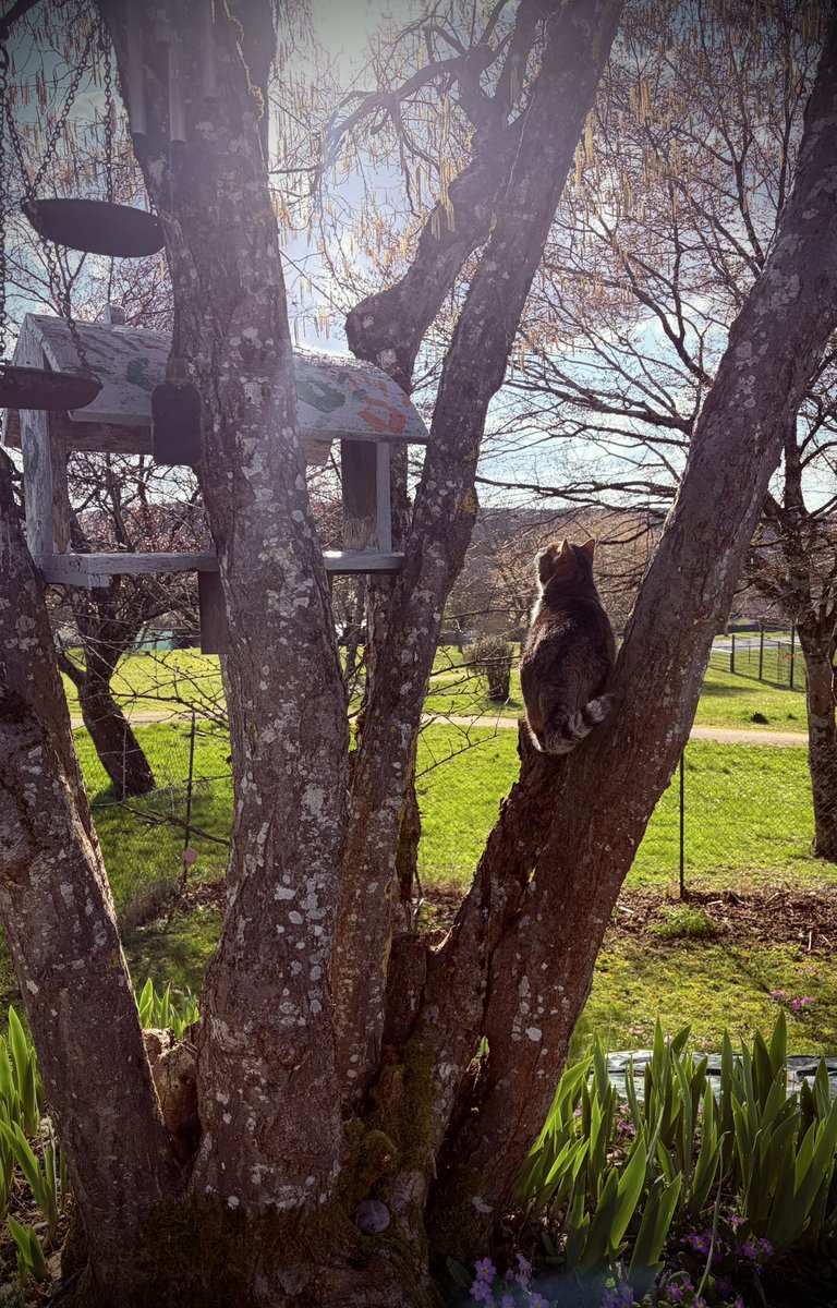 𝐒œur 𝐒oso 𝐘amb (@laseditieuse) on Twitter photo 