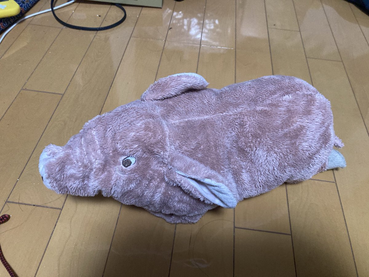 GO29804454's tweet photo. 栃木県下野市の天平の丘で豚さん保護しました
雨に濡れて汚れていたので洗ってキレイになりました
落とされた方にお返ししたいのでご連絡下さい
#天平の丘公園
#豚のぬいぐるみ https://t.co/zXz3RRFNHE