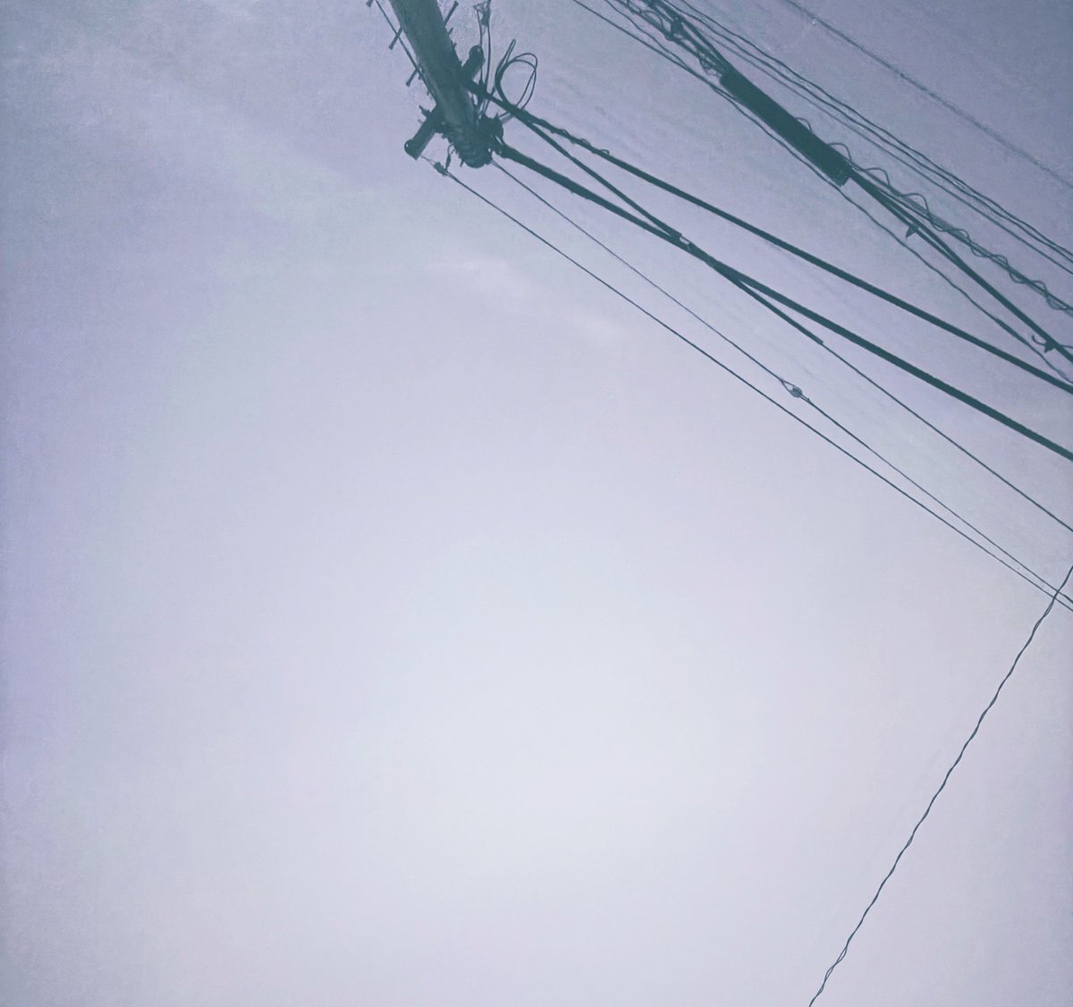 すずあ tweet media