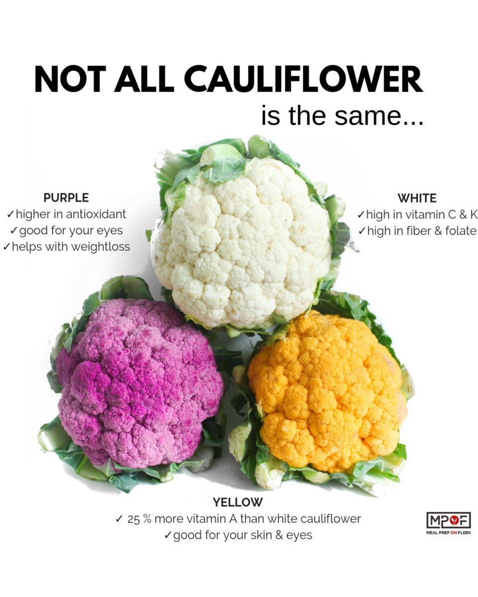 Nick Quintero - Meal Prep on Fleek tweet media