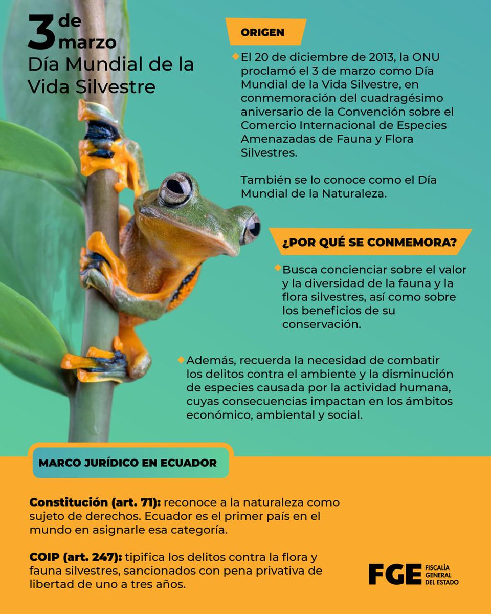 FiscaliaEcuador's tweet image. #ATENCIÓN | En el #DíaMundialDeLaVidaSilvestre, #FiscalíaEc hace un llamado a la sociedad para proteger la naturaleza y su biodiversidad. Además, reitera su compromiso de combatir los delitos que atenten contra la flora y fauna silvestres.