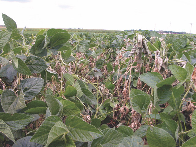 Crop Protection Network tweet media