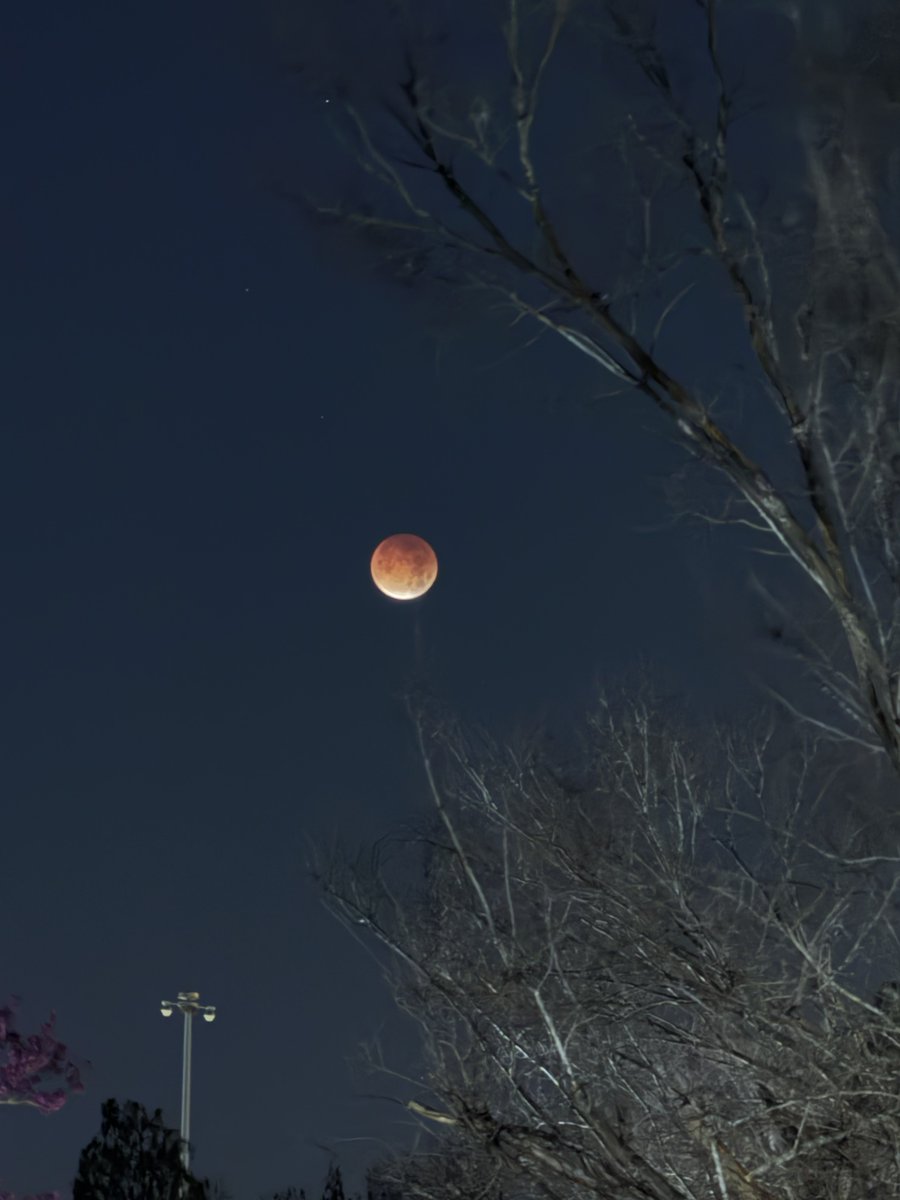 Stephanie Cavinder tweet media