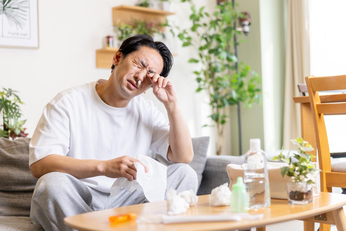 Botschaft von Japan in Deutschland tweet media