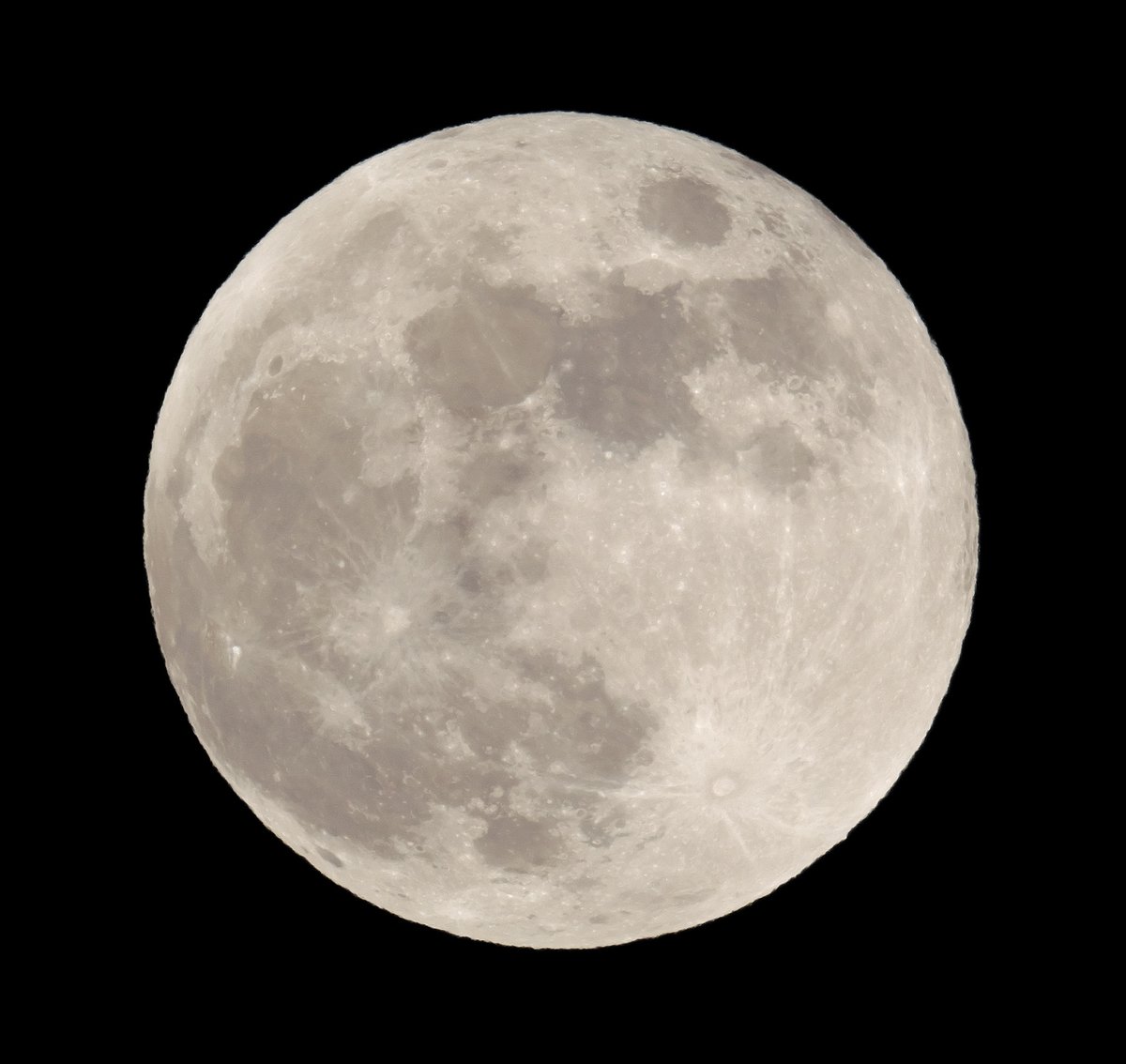 月世界への招待🌙🔭 tweet media