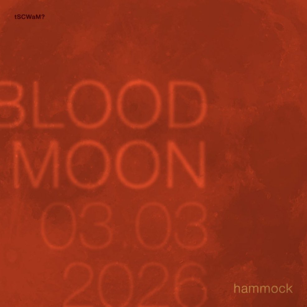 🏳️hammock🏳️ tweet media