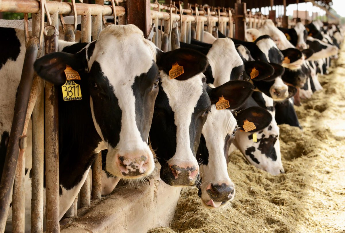 Conselleria d'Agricultura, Pesca i Medi Natural tweet media