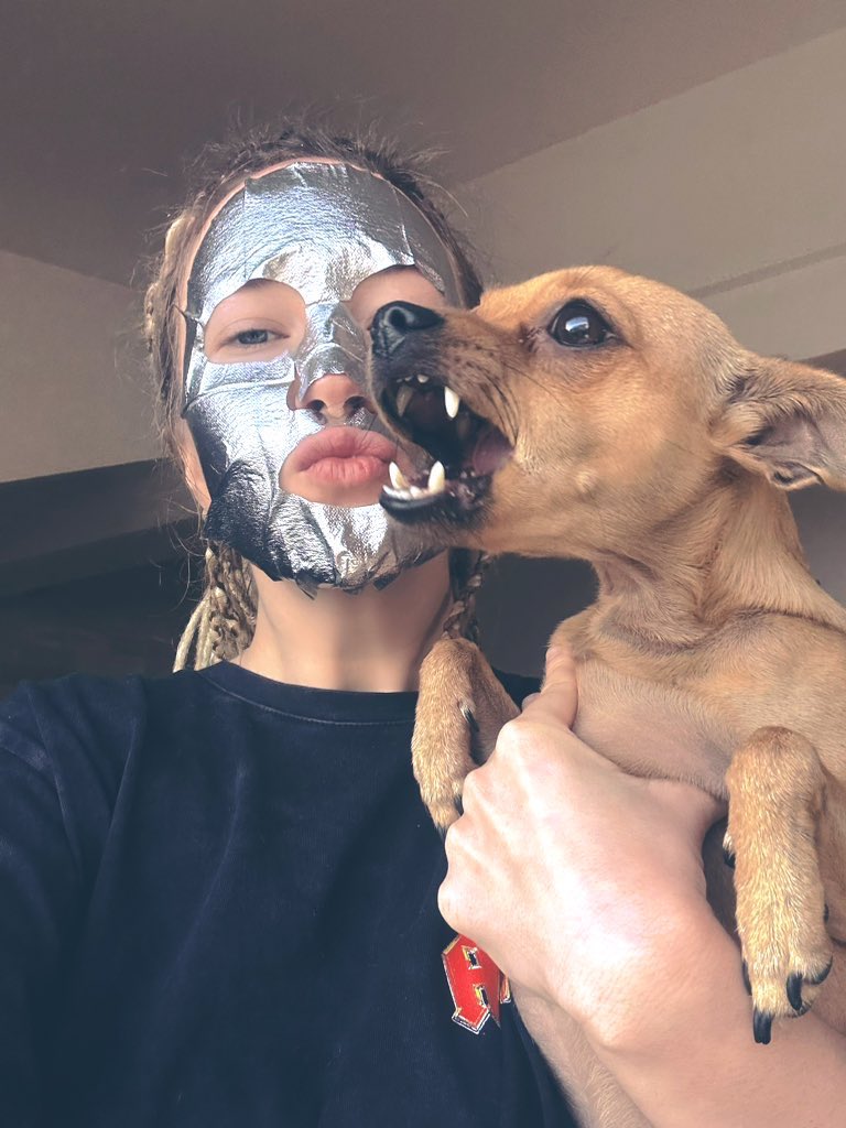 IRA ⛩️ 🐇 tweet media