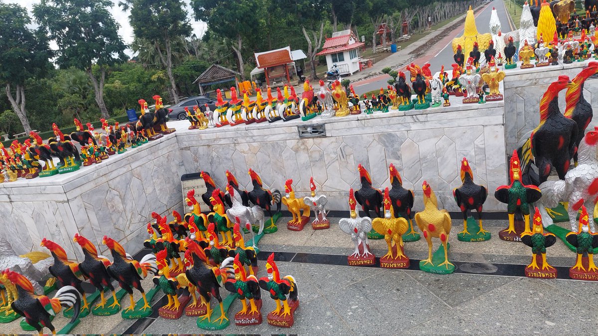 นี่ไง ไก่พันตัวที่พวกเธอใฝ่ฝัน ลูกหลานทำให้แล้วนะ🥹 

#อโยธยาเอยาวดี