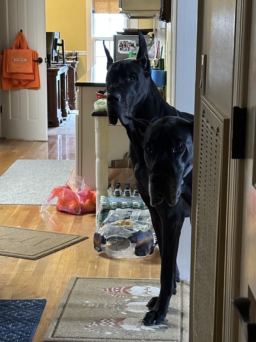 The Panic tweet media