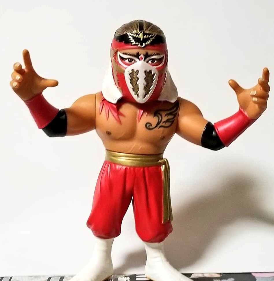 ハヤブサ選手。生前の雄姿を生で観たかった。数年前購入したフィギュア