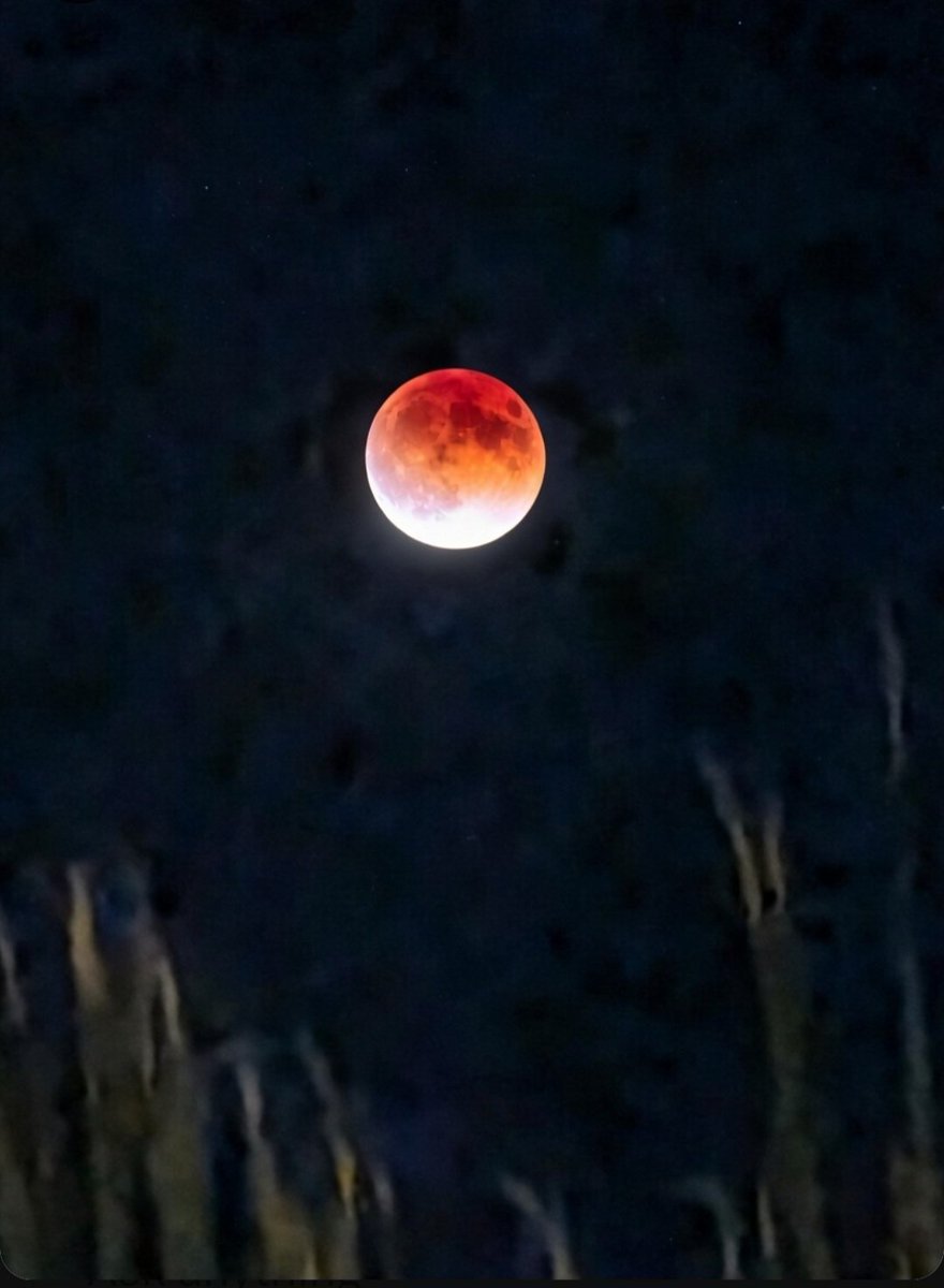 BBALLBABE6's tweet image. Blood moon lunar eclipse from Las Vegas  📷 
3:11am to 4:57am