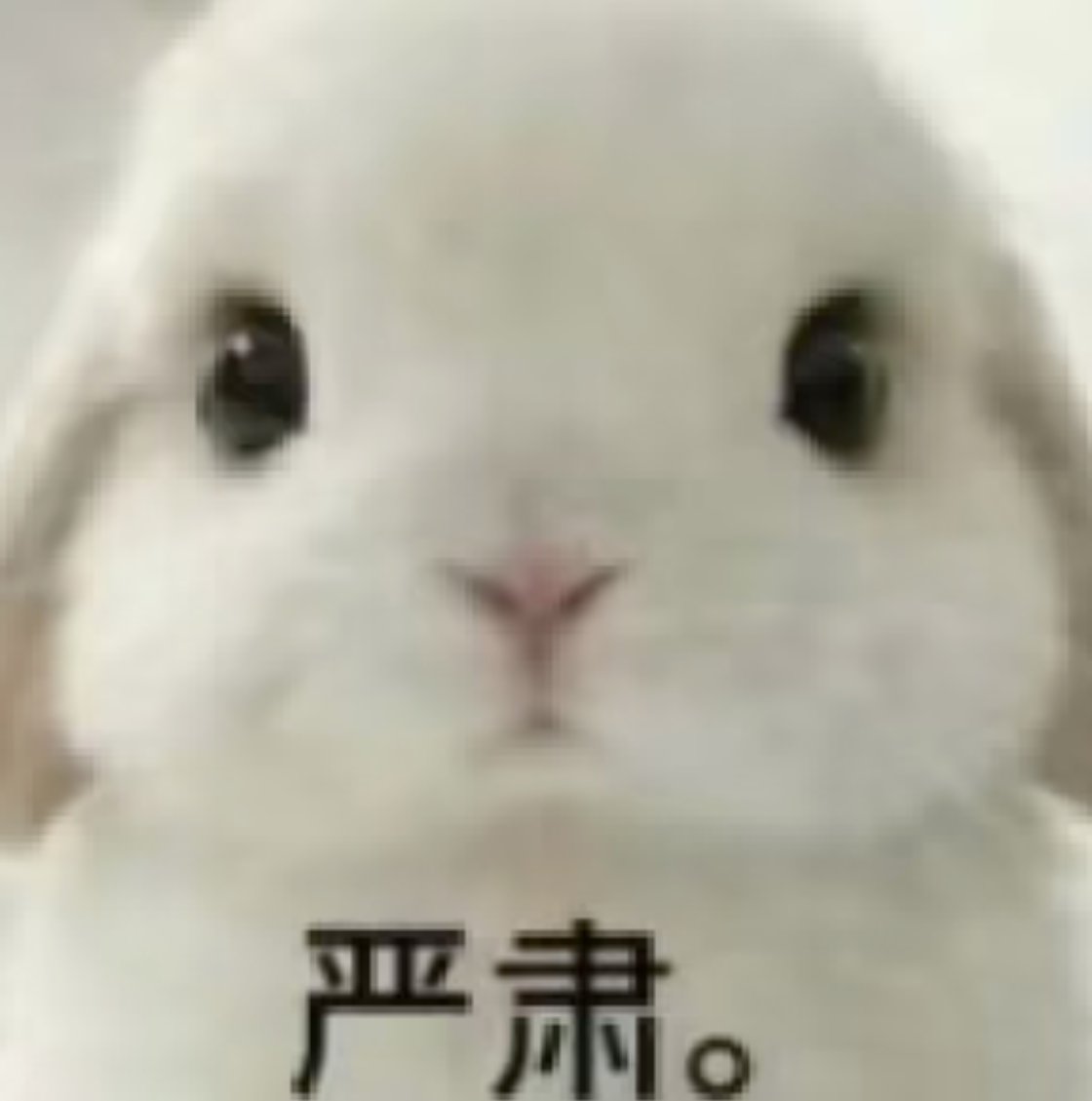 Iripoem1004's tweet photo. @suannaimio 我小保底 https://t.co/tDhzlXore4